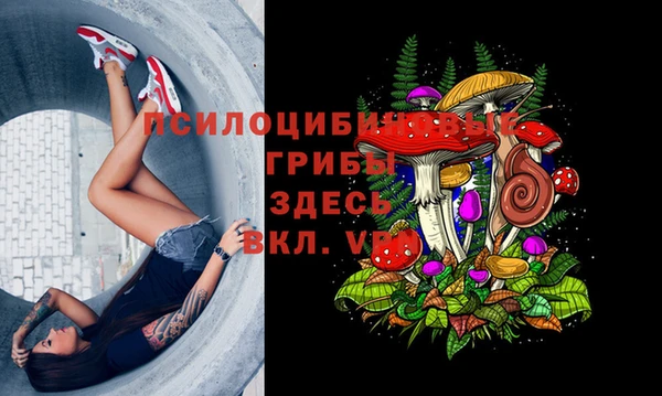 mix Баксан