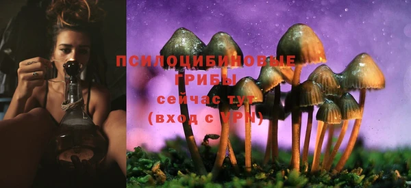 стафф Балабаново