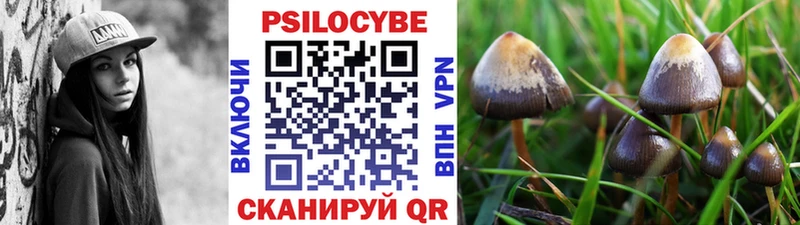 Псилоцибиновые грибы Psilocybine cubensis Кушва