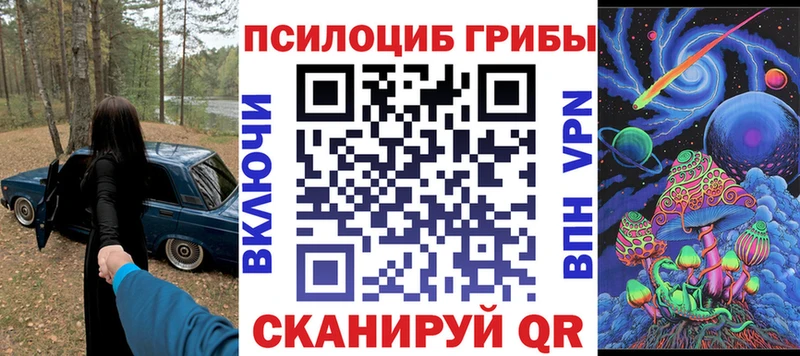 где можно купить наркотик  Кушва  Псилоцибиновые грибы Cubensis 